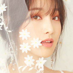 새봄