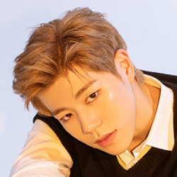 도환