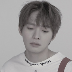 최낙타