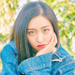 시카